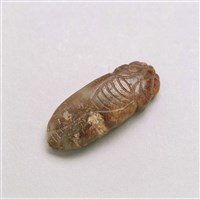 藏品(墨玉蟬)的圖片