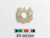 藏品(鳳紋韘形玉珮)的圖片