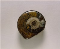 藏品(銀鑲鸚鵡螺化石帶首)的圖片