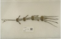 藏品(銀髮飾)的圖片