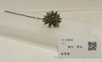 藏品(銀髮簪)的圖片