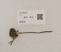 藏品(銀髮簪)的圖片