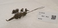 藏品(銀髮飾)的圖片