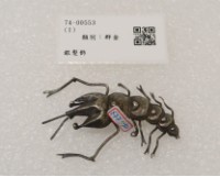 藏品(銀髮飾)的圖片