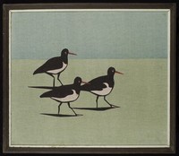 藏品(伴)的圖片