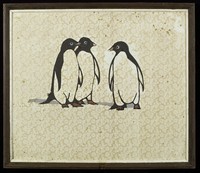 藏品(企鵝)的圖片