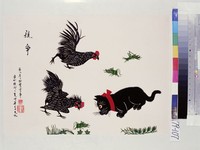 藏品(競爭)的圖片