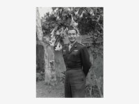 藏品(胡偉克)的圖片