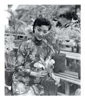 藏品(焦鴻英)的圖片