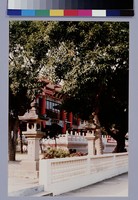 藏品(新竹青草湖靈隱寺)的圖片