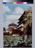 藏品(植物園國立歷史博物館背影)的圖片