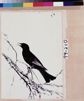 藏品(花枝鳴禽)的圖片