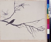 藏品(枝頭小鳥)的圖片