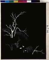 藏品(春樹發奇枝)的圖片