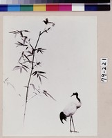 藏品(翠竹仙禽)的圖片