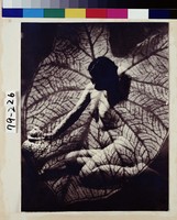 藏品(美人娟娟隔秋水)的圖片