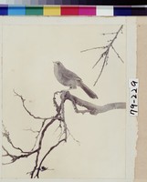 藏品(鳴鳥在林)的圖片