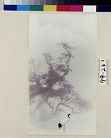 藏品(煙林白鶴)的圖片