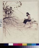 藏品(笑思張緒柳)的圖片