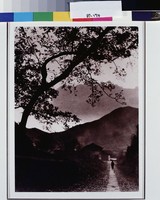 藏品(歸途天色晚)的圖片