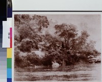 藏品(北岸人家)的圖片