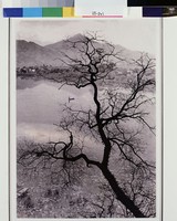 藏品(滄浪水深青冥闊)的圖片