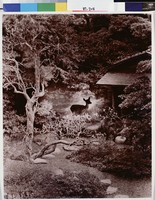 藏品(園中鹿呦呦)的圖片