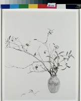 藏品(一枝清供佛前花)的圖片