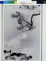 藏品(釣竿欲撥珊瑚樹)的圖片