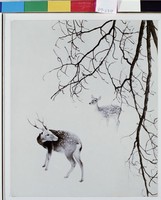 藏品(雙鹿)的圖片