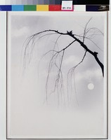 藏品(萬里共清輝)的圖片