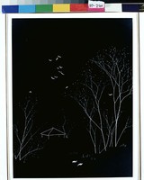 藏品(獨宿學幽棲)的圖片