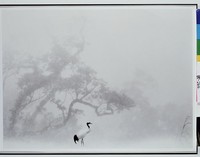 藏品(鶴下雲汀近)的圖片