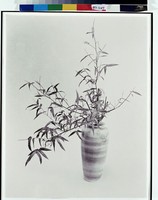 藏品(不可一日無此君)的圖片