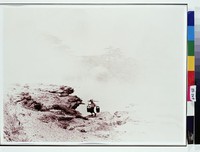 藏品(拂曉汲清江)的圖片