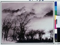 藏品(寒林映遠岫)的圖片