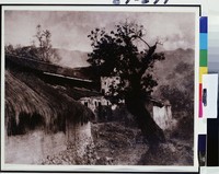 藏品(春寒野陰風景暮)的圖片