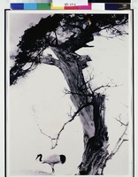 藏品(獨鶴歸何渚)的圖片