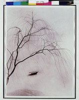 藏品(春柳依依舟橫斜)的圖片
