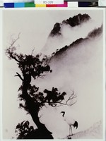 藏品(松留千歲鶴)的圖片