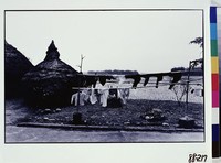 藏品(披在後院的衣服)的圖片