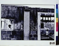 藏品(玩伴)的圖片