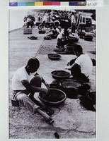 藏品(漁人理網)的圖片