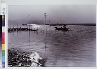 藏品(晨曦(橫))的圖片