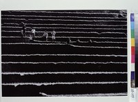 藏品(阡陌小憩)的圖片