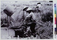 藏品(收割之樂)的圖片