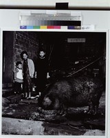 藏品(期待成長)的圖片