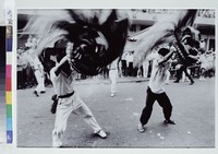 藏品(舞獅陣頭)的圖片