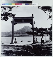 藏品(源遠流長)的圖片