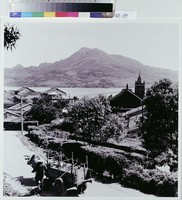 藏品(牛鈴清響)的圖片